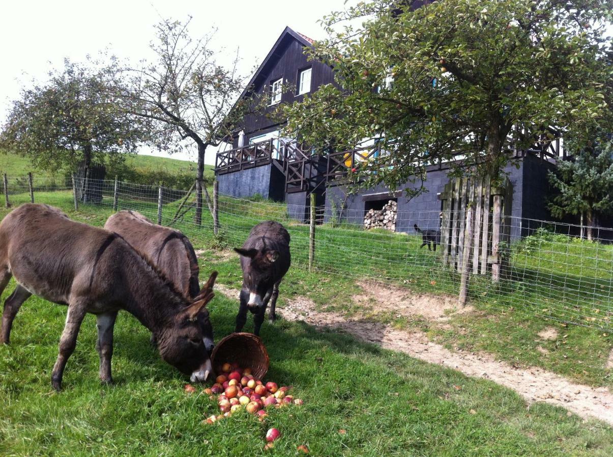 Hoeve Schoonzicht Wijlre Exterior foto